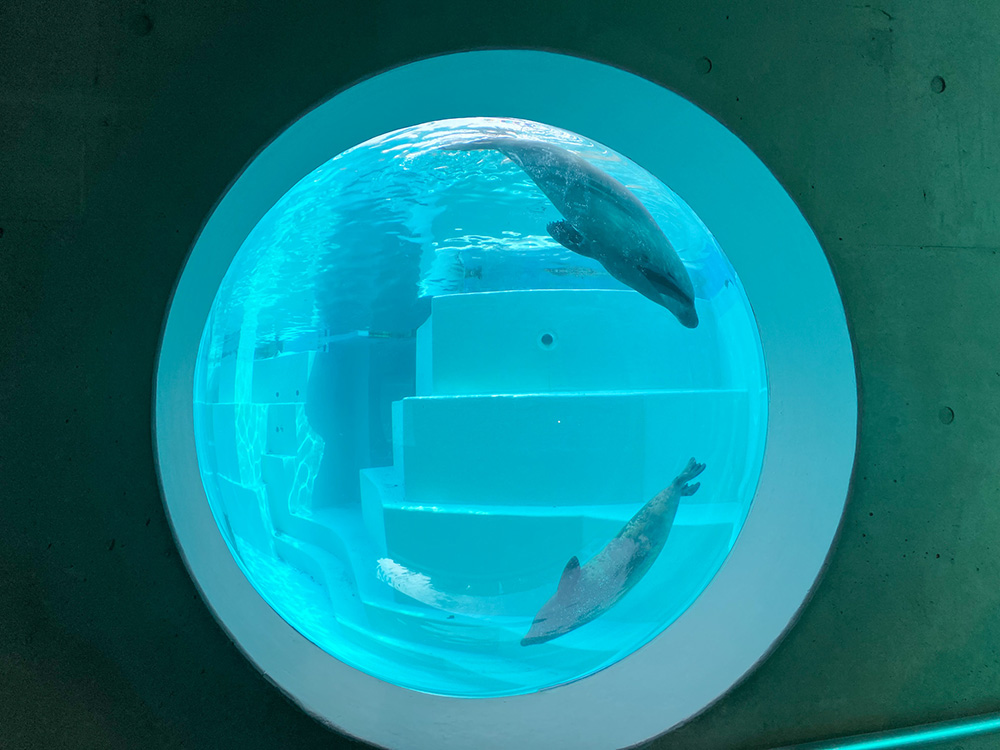 202603 uminonakamichi15