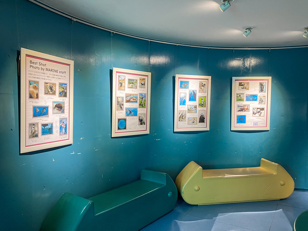 202603 uminonakamichi16