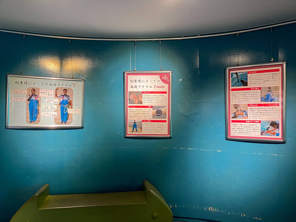 202603 uminonakamichi17