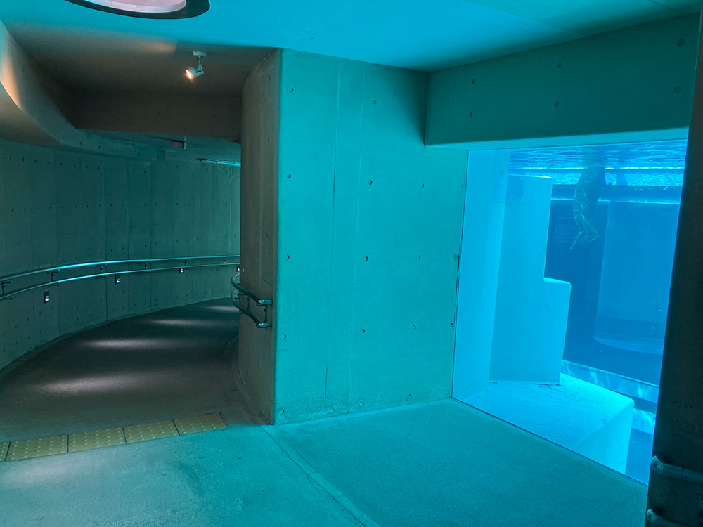 202603 uminonakamichi19