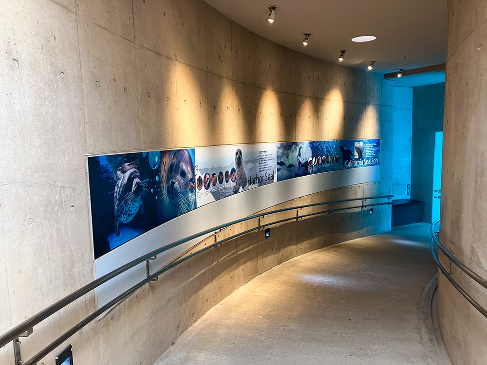 202603 uminonakamichi20