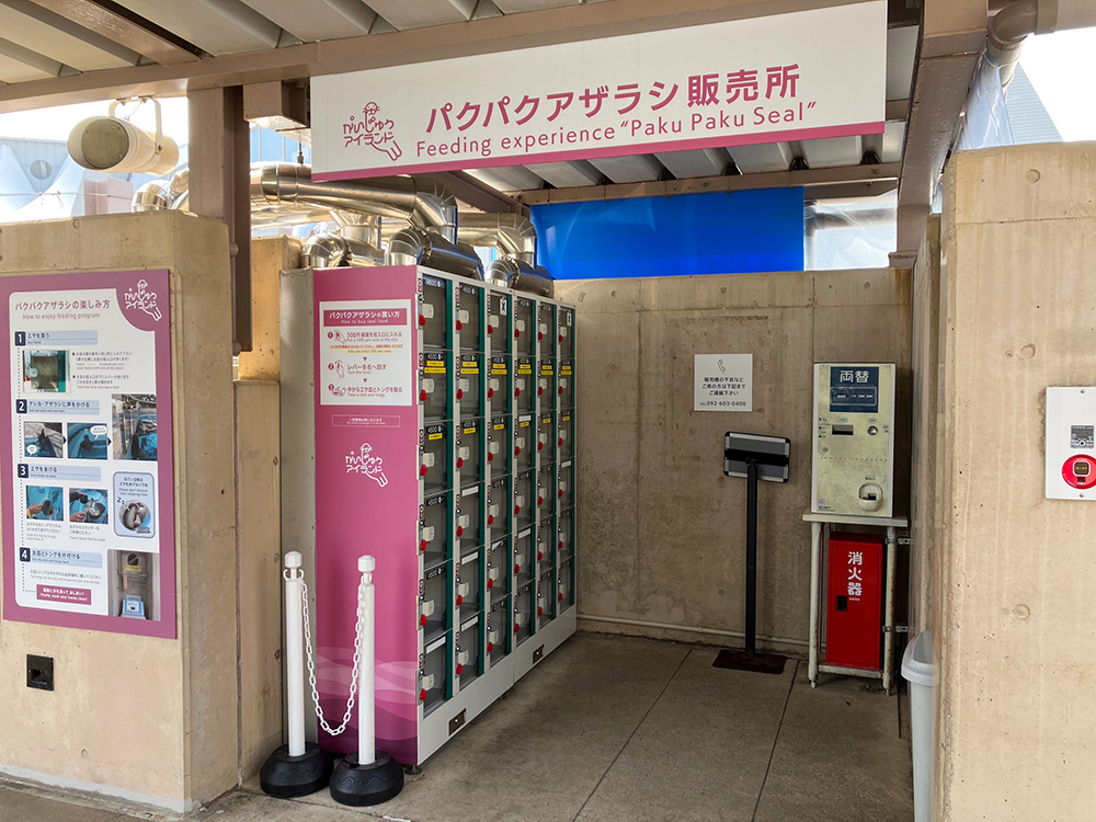 202603 uminonakamichi22