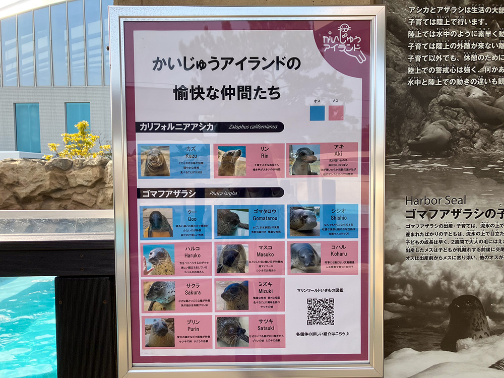 202603 uminonakamichi24