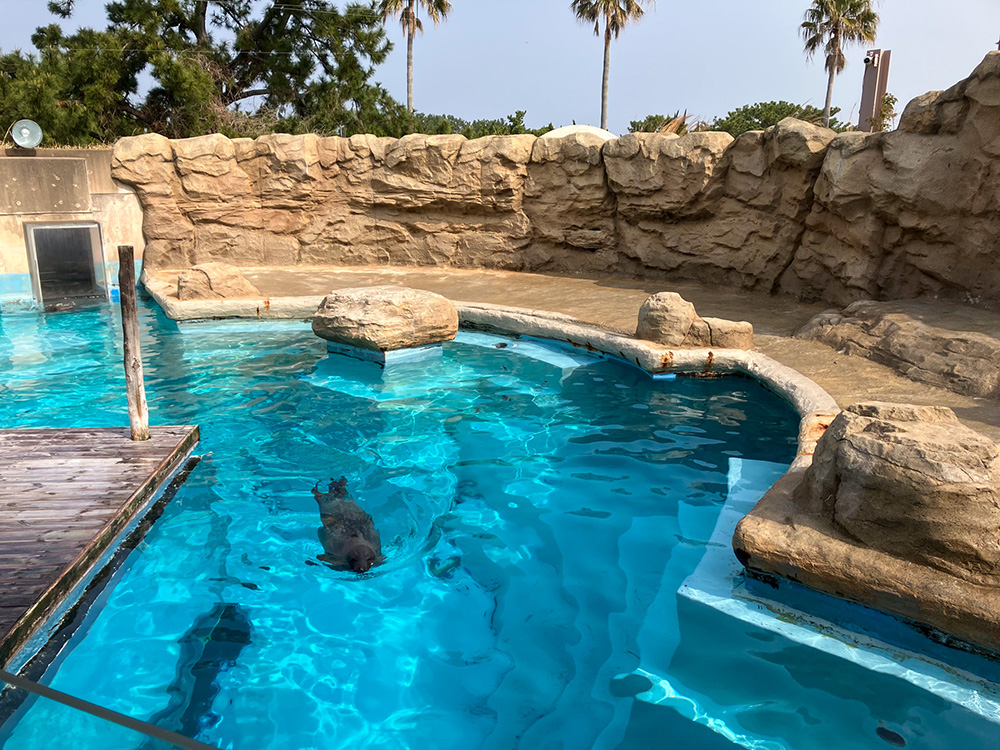 202603 uminonakamichi25