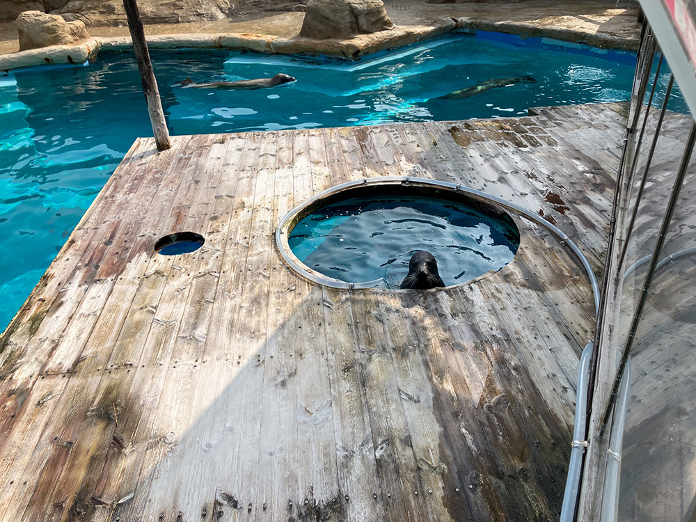 202603 uminonakamichi30