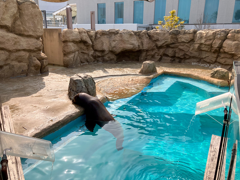 202603 uminonakamichi31