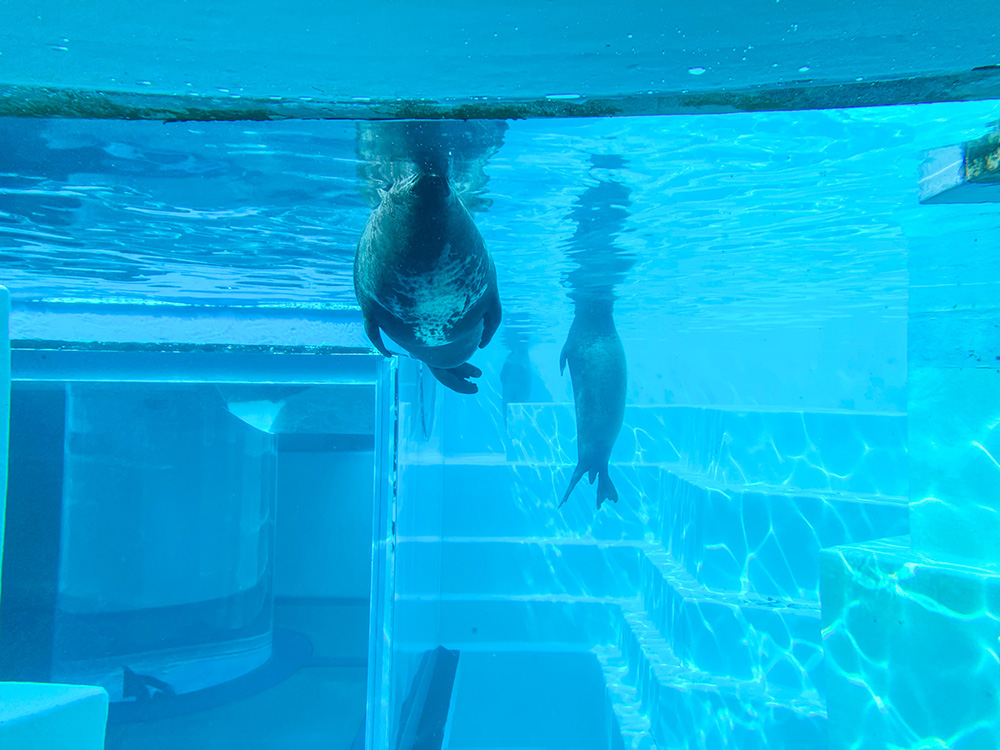 202603 uminonakamichi33