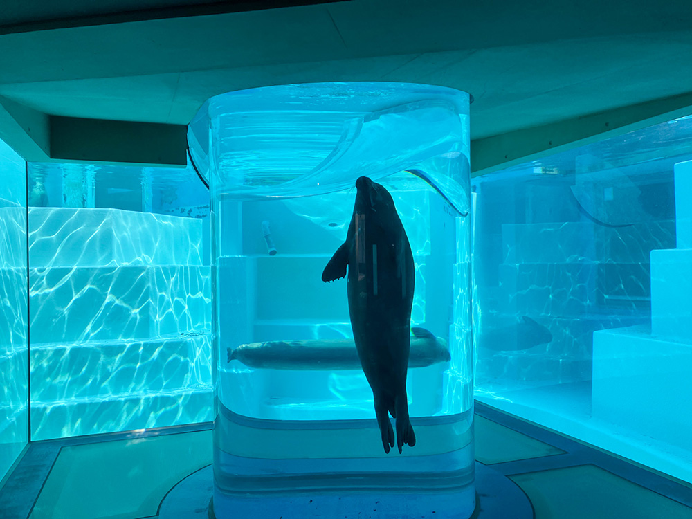 202603 uminonakamichi36