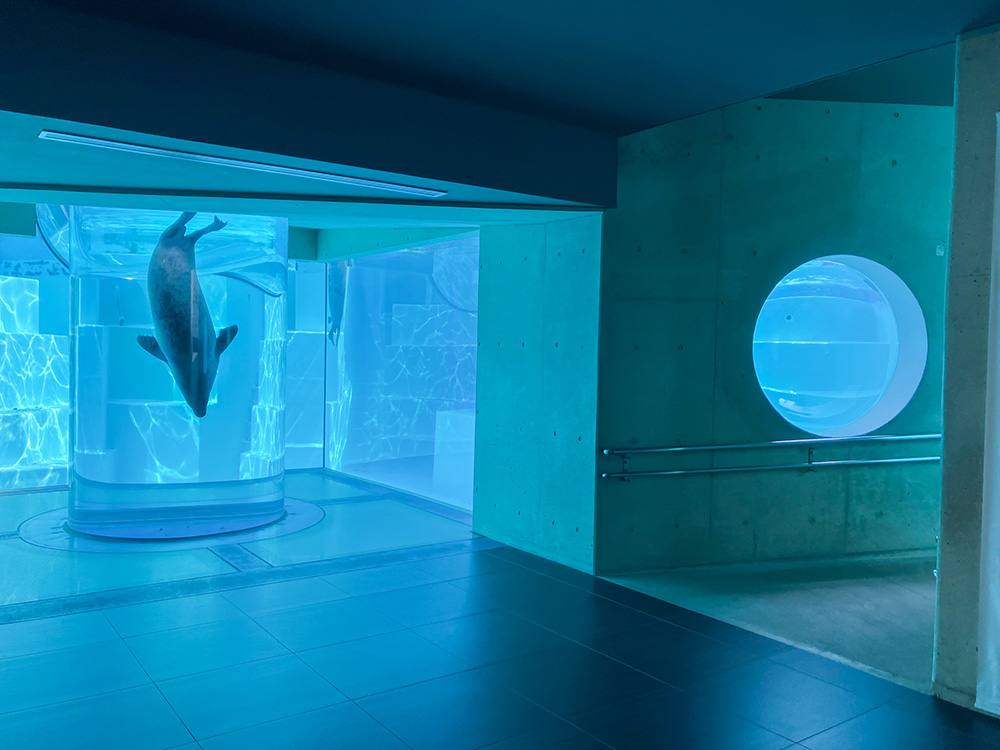 202603 uminonakamichi38