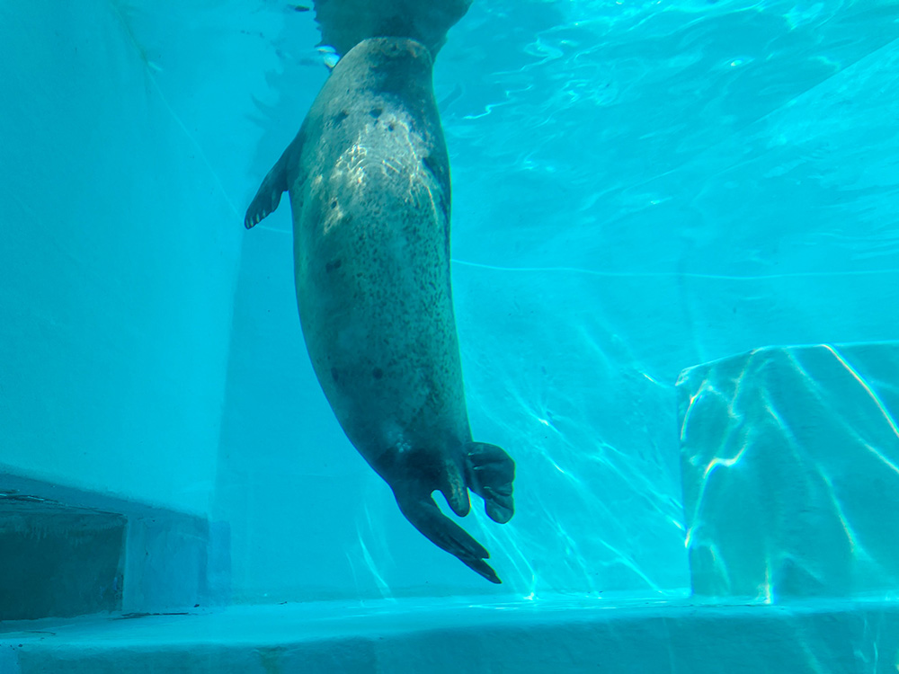 202603 uminonakamichi40