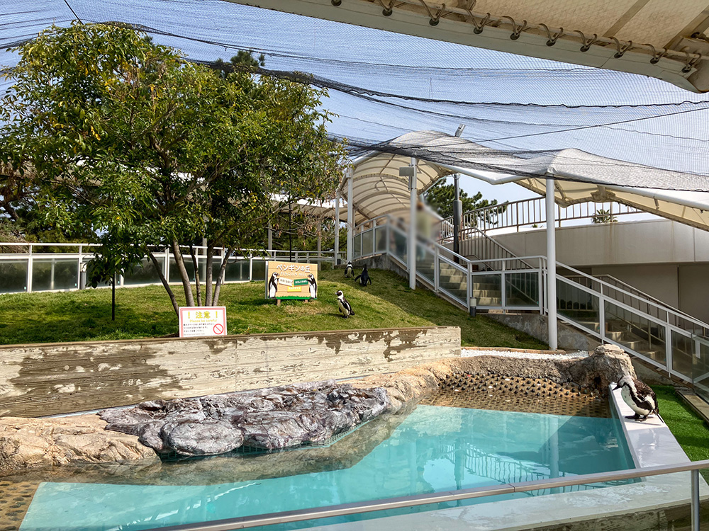 202603 uminonakamichi44