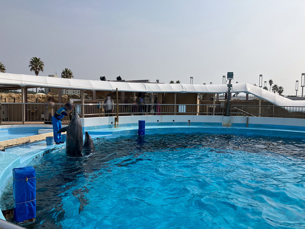 202603 uminonakamichi45