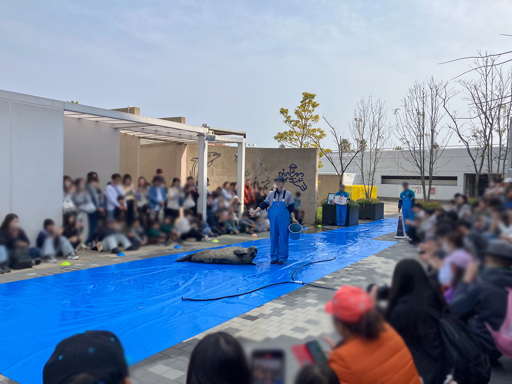 202603 uminonakamichi51