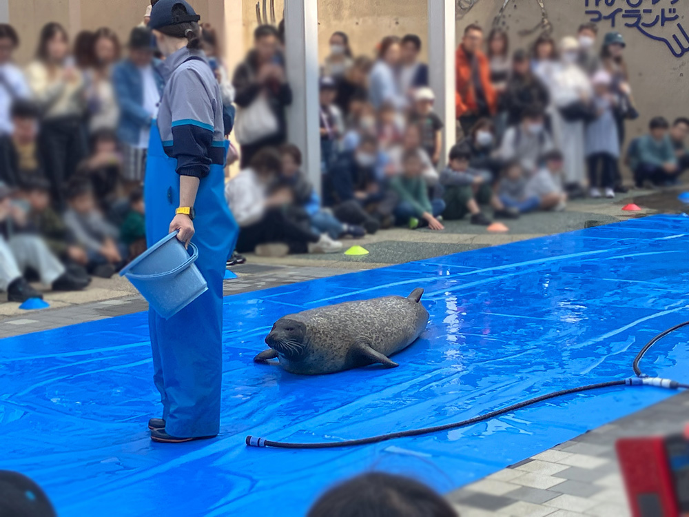 202603 uminonakamichi53