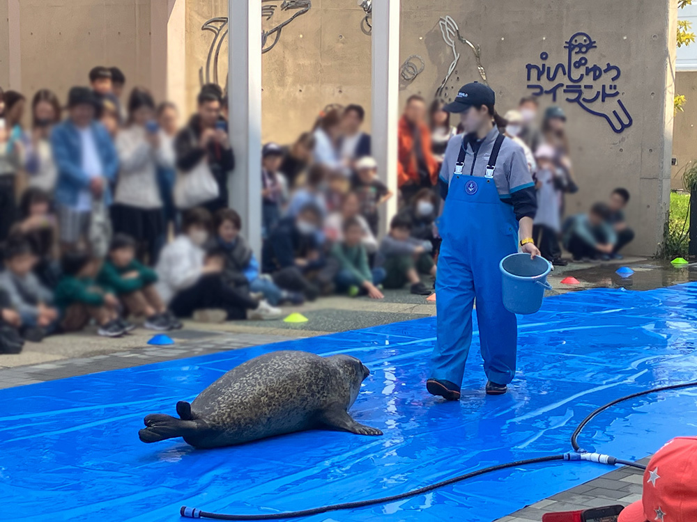 202603 uminonakamichi54