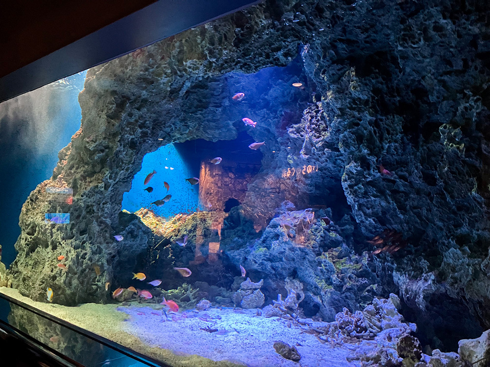 202603 uminonakamichi57