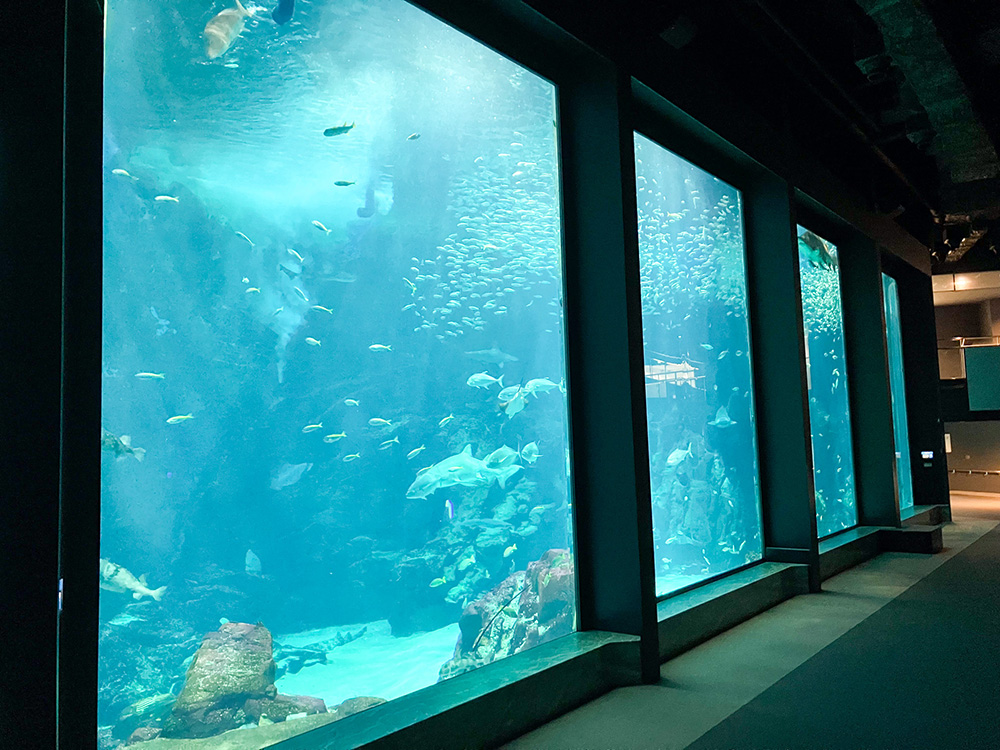 202603 uminonakamichi6