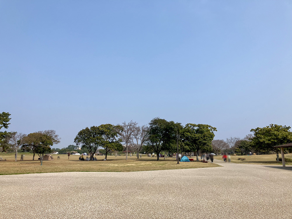 202603 uminonakamichi65