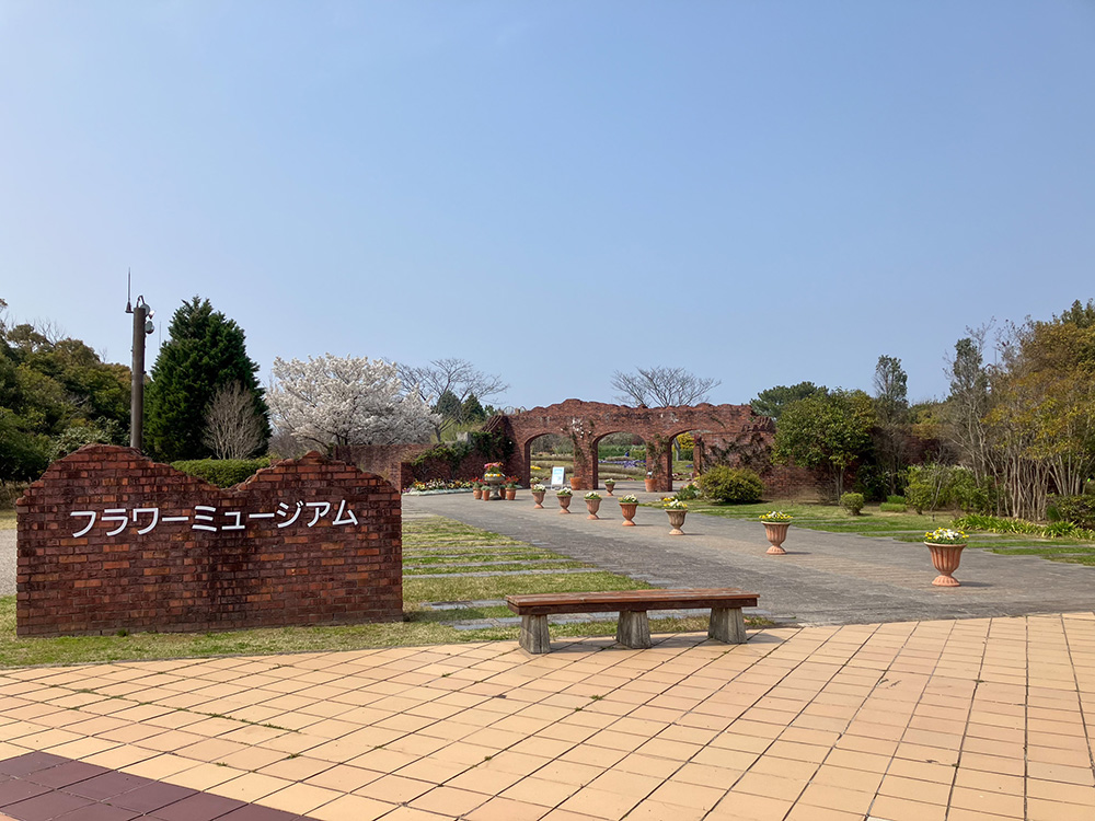 202603 uminonakamichi67