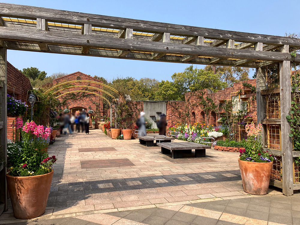 202603 uminonakamichi68