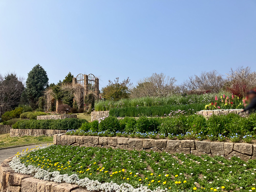 202603 uminonakamichi70