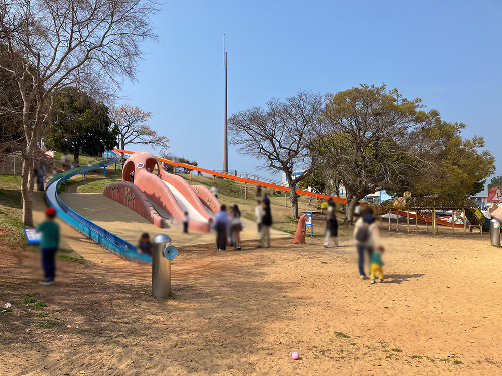 202603 uminonakamichi72