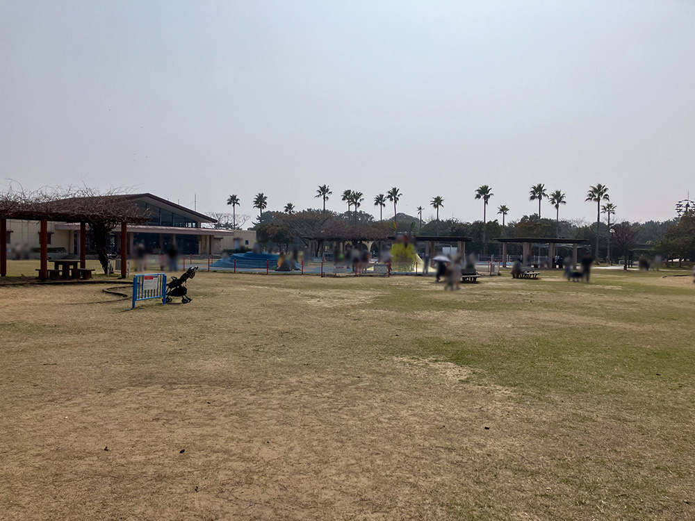 202603 uminonakamichi74