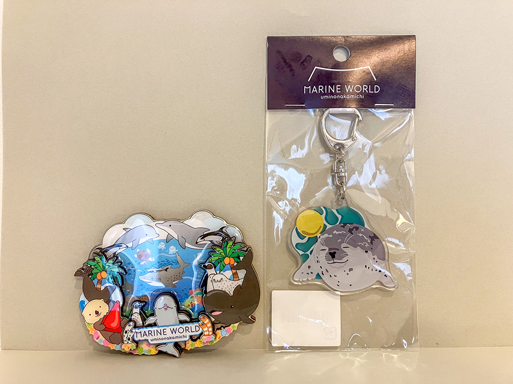 202603 uminonakamichi78