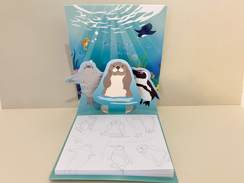 202603 uminonakamichi79