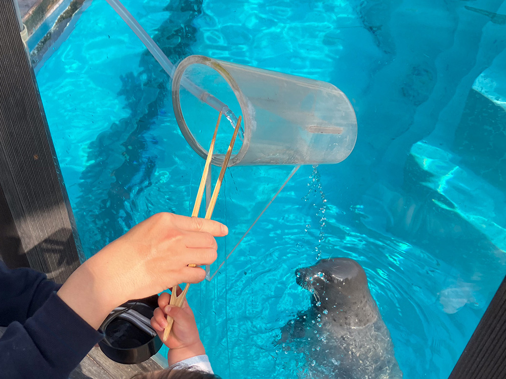 202603 uminonakamichi82