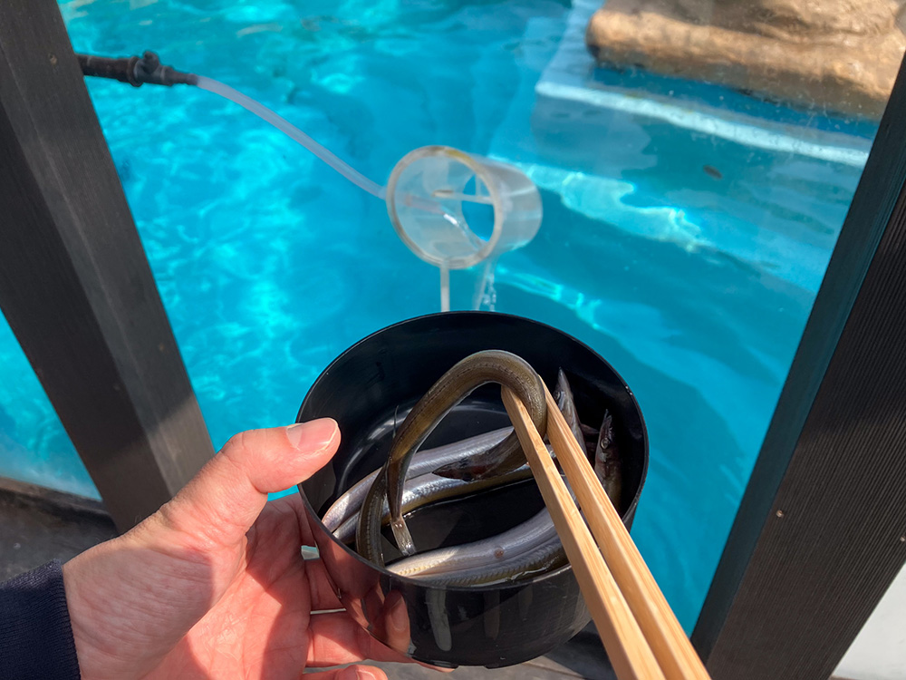 202603 uminonakamichi83