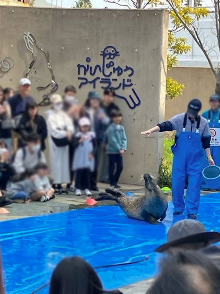 202603 uminonakamichi86