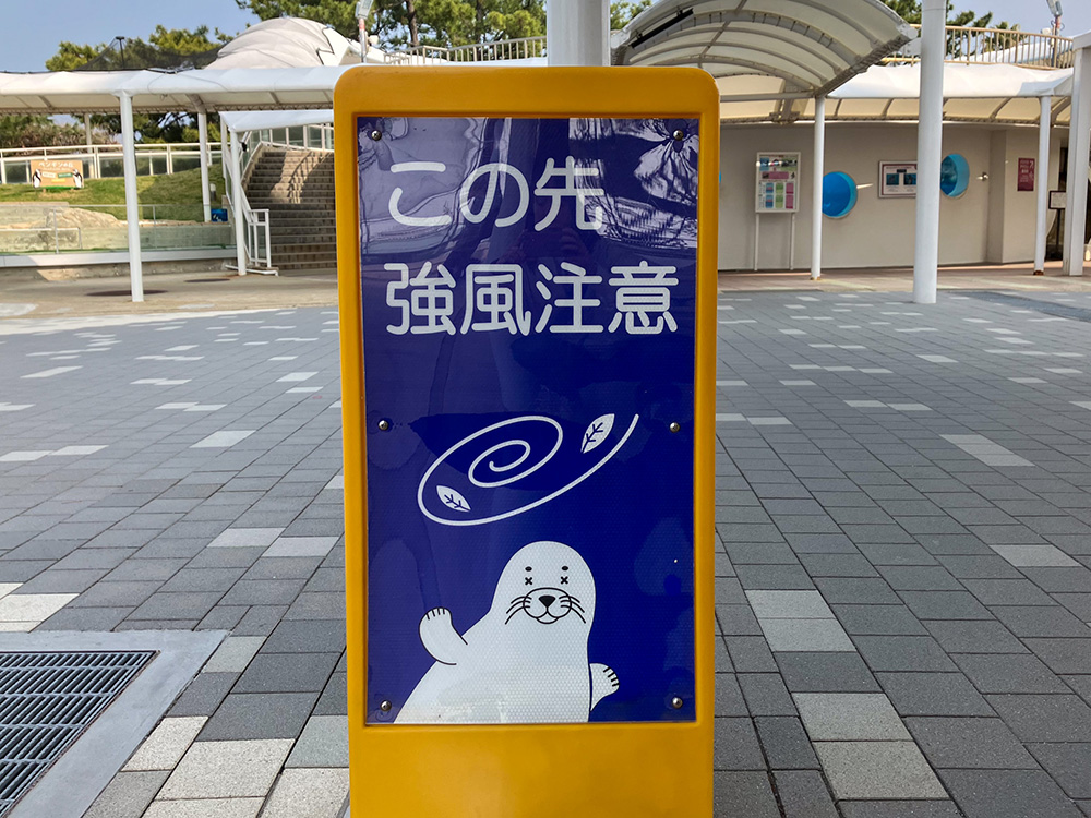 202603 uminonakamichi9