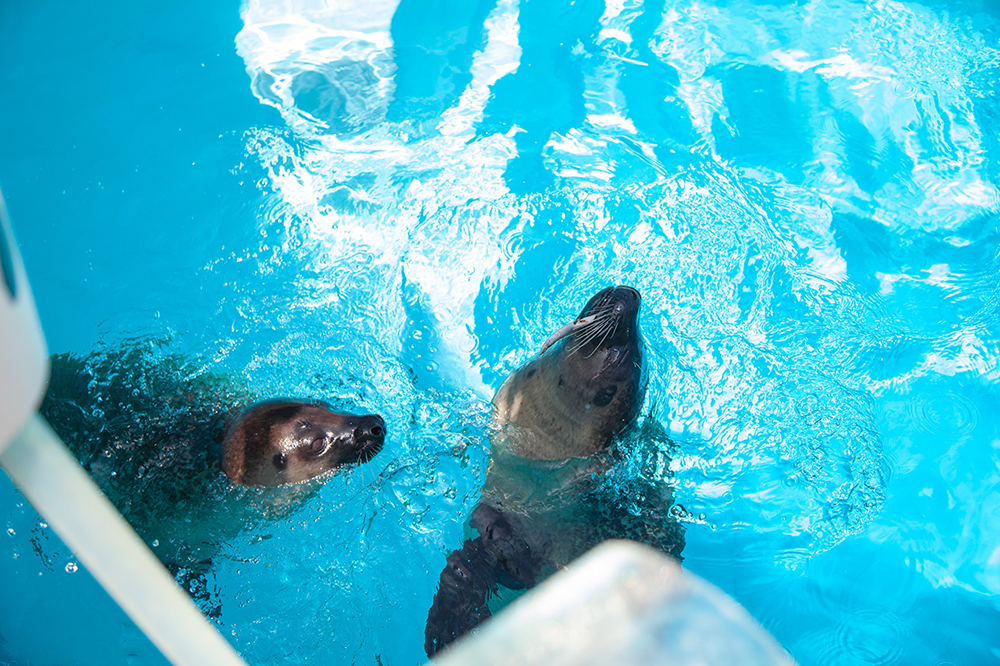 220904 uminonakamichi