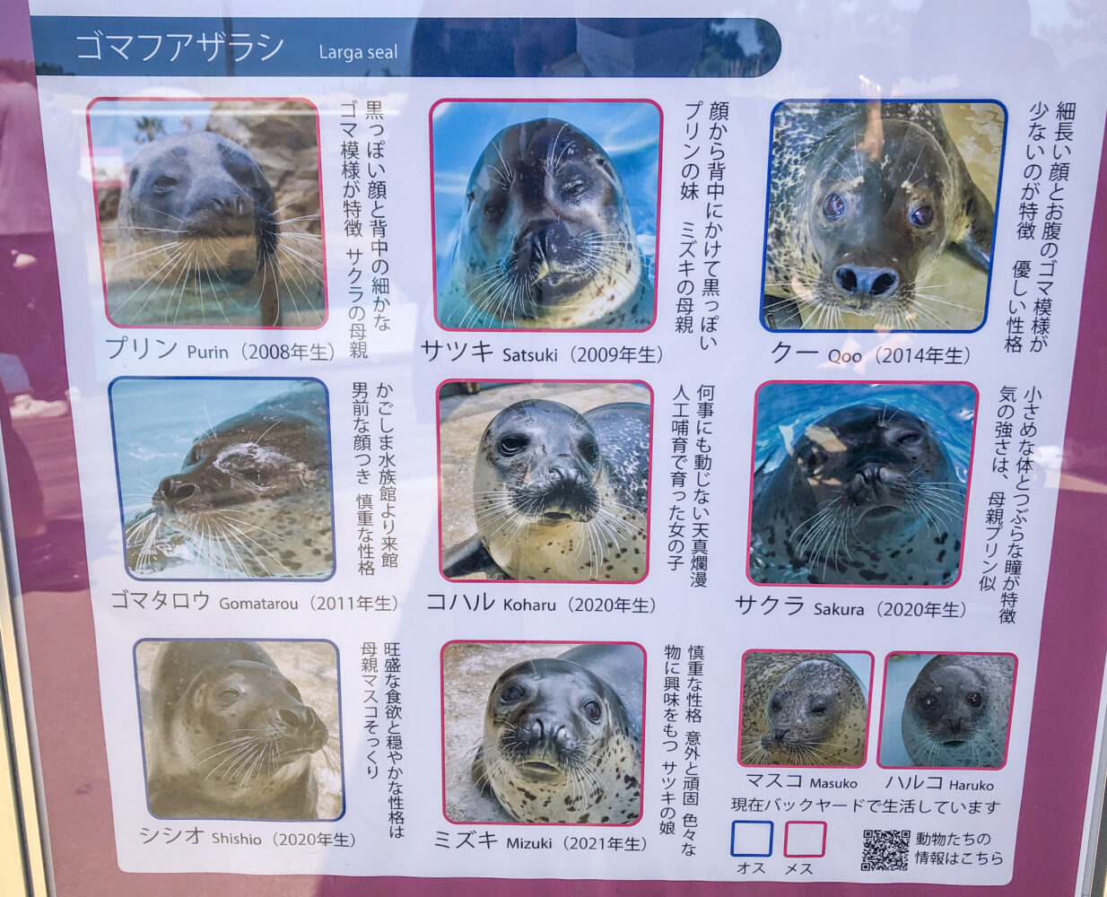 220904 uminonakamichi