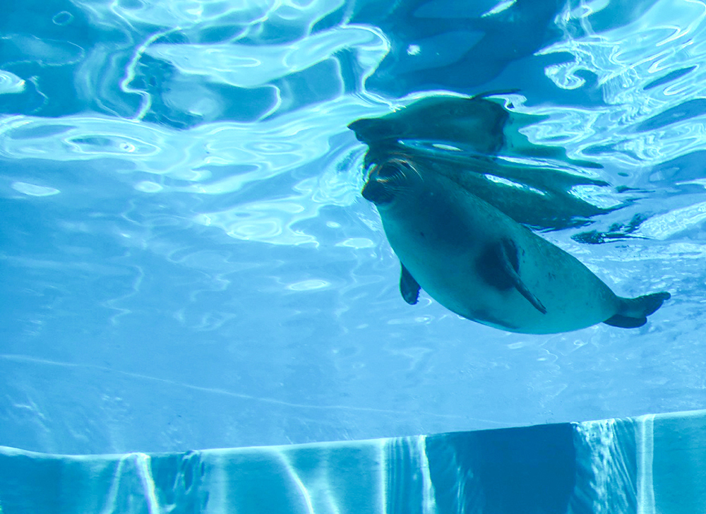 220904 uminonakamichi