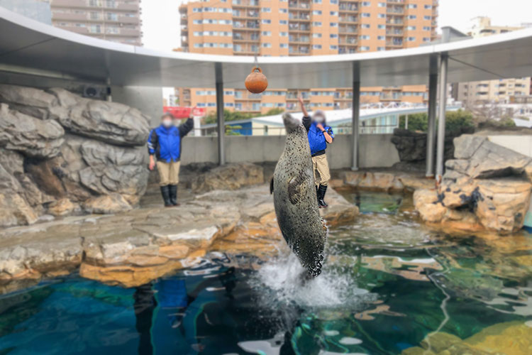 アザラブキービジュアル1